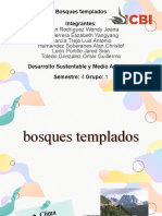 Bosques Templados