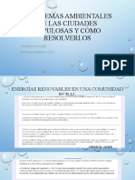 Problemas Ambientales de Las Ciudades Populosas