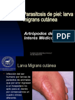 Parasitosis de Piel