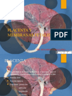 Placenta y Membranas Fetales