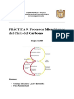 P.9 Ciclo Del Carbono; Microbiología