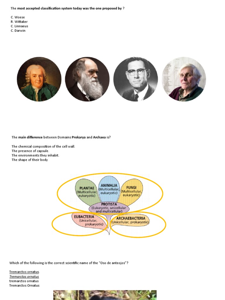 2nd Term Exam 6th - Science Questions | PDF | Home & Garden | Science ...