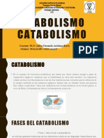 Fisiología veterinaria - Catabolismo y anabolismo