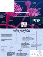 aspergilosis y acción fungicida