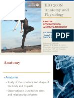 BIO 200N Anatomy and Physiology