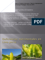 Bio Preparados Lima Persa