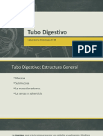 Tubo Digestivo Enfermeria