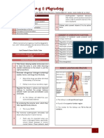 Human Anatomy & Physiology: Urinary System