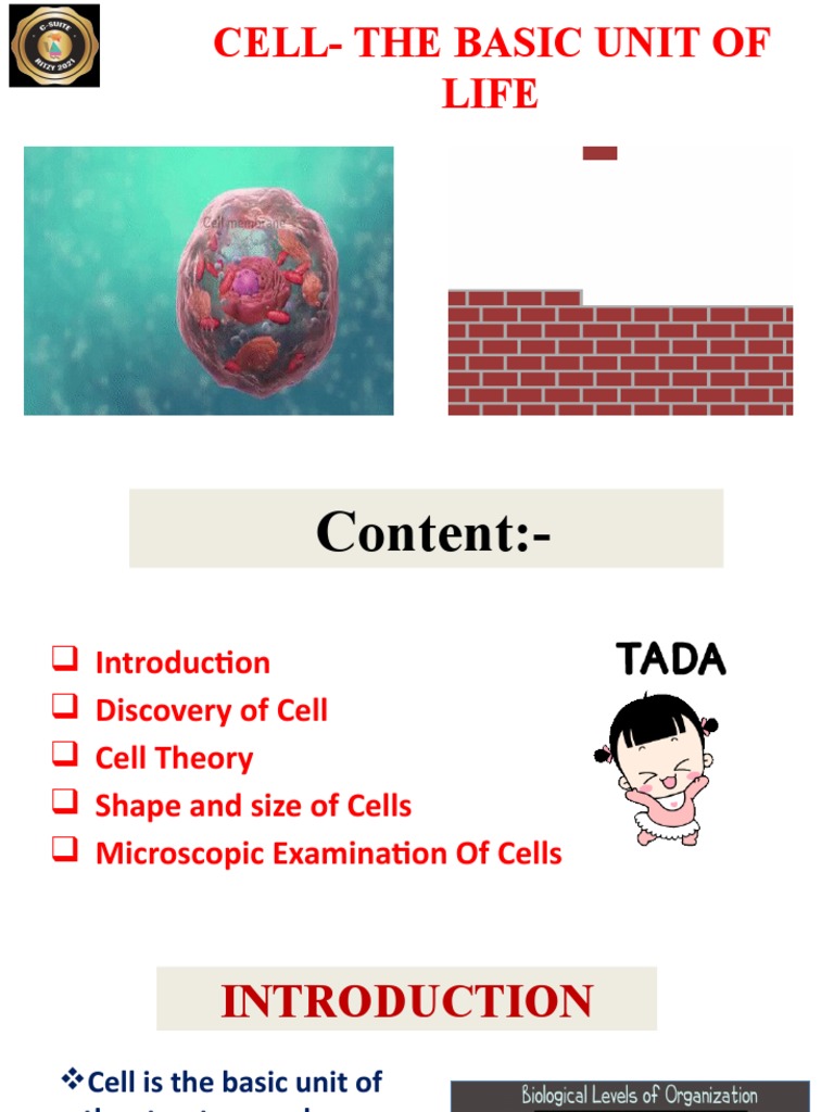 Cell - The Basic Unit of Life | PDF