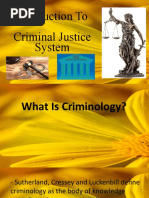 Introduction To Criminal Justice System