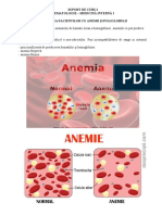 Suport de Curs 2 Hematologie Medicina Interna I