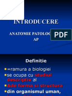 Introducere patologie