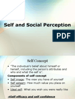 Self and Social Perception