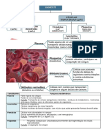 Resumo Sistema Cardiovascular e Sangue