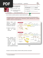4_teste-bio12_2009-v1