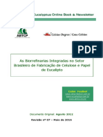 PT29_BiorrefinariasCelulosePapel