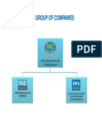 Pae Group of Companies Pae Group of Companies: Epc Contractor and Other