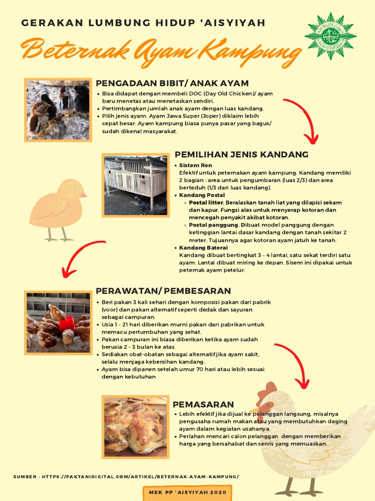 Halaman Unduh untuk file Contoh Kandang Ayam yang ke 37, image size:768x1024