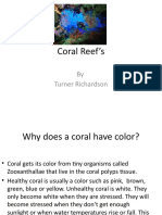 Coral Reef's: by Turner Richardson