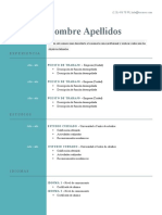 Plantilla Curriculum Cronologico