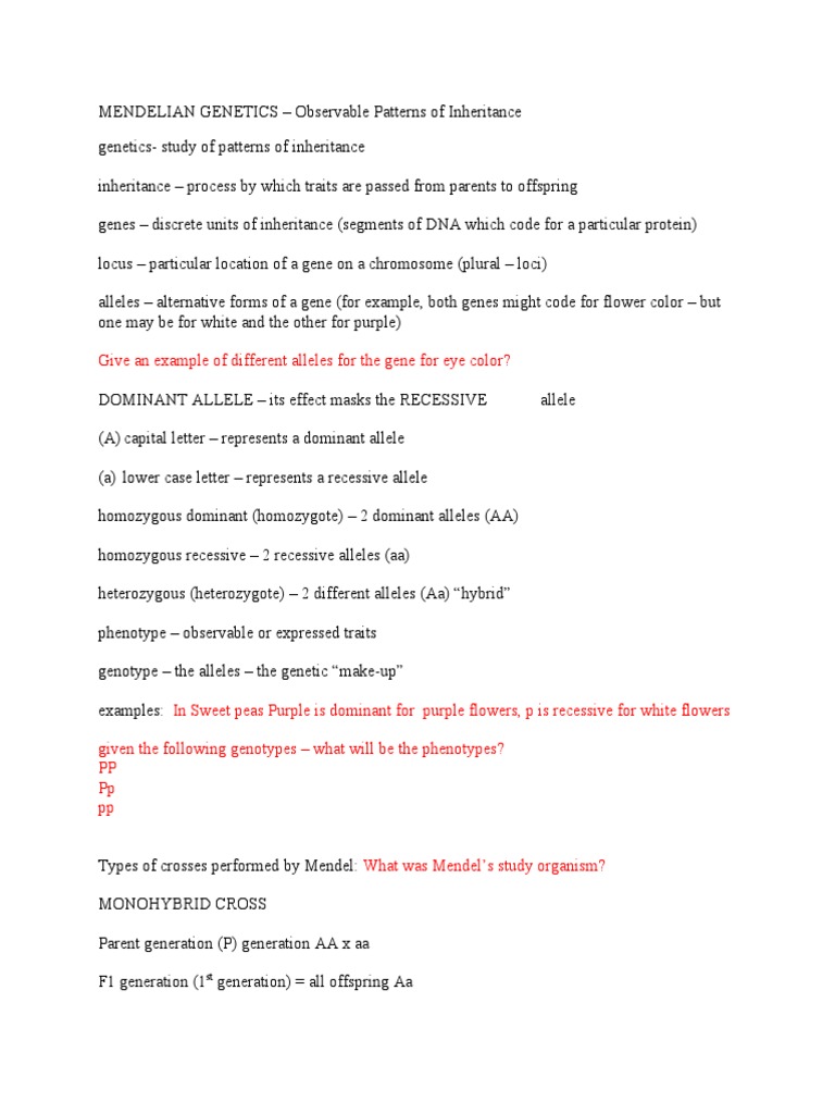 Patterns of Inheritance | PDF | Dominance (Genetics) | Allele
