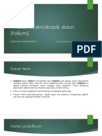 Analisis Makroskopik Daun (Folium)