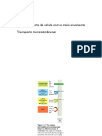 5.aulas 9a14.transporte Transmembranar