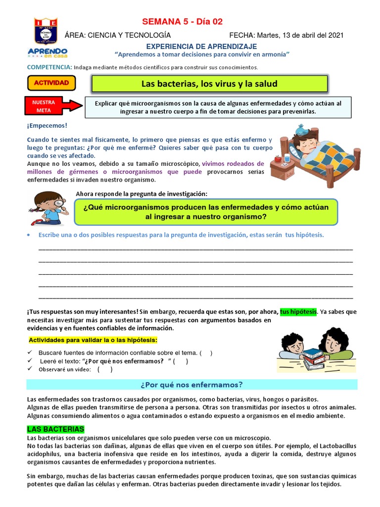 Microorganismos: Enfermedades y Prevención | PDF | Las bacterias | Virus