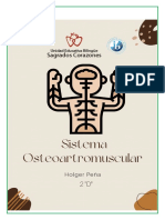 Sistema Osteoartromuscular