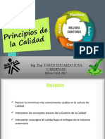 Principios Calidad (Automotriz)