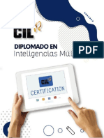 Brochure en Inteligencias Múltiples - Enero - CIL