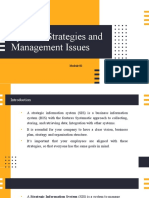 Systems Strategies and Management Issues
