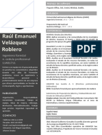 CV Raul Emanuel Velazquez Roblero