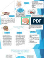 Mapas Mentales