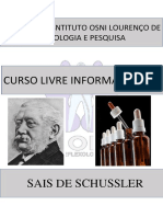 1 Curso Pratico de Sais Para Iniciantes