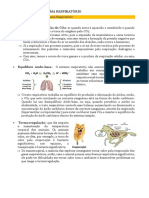 Anatomia e funções do sistema respiratório