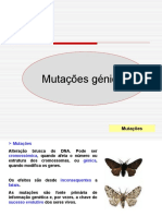 Mutações Génicas