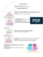 Estrutura Etária, Políticas Demográficas e Distribuição Da População