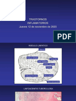 10. procesos inflamatorios