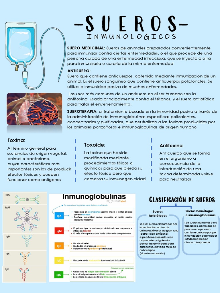 Clasificación y usos de sueros inmunológicos | PDF | Anticuerpo ...