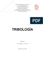 Informe_de_Tribologia