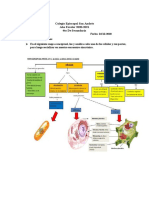 Mapa Conceptual Sobre Las Celulas (Biologia)