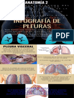 Infografía de Pleuras Pulmonares