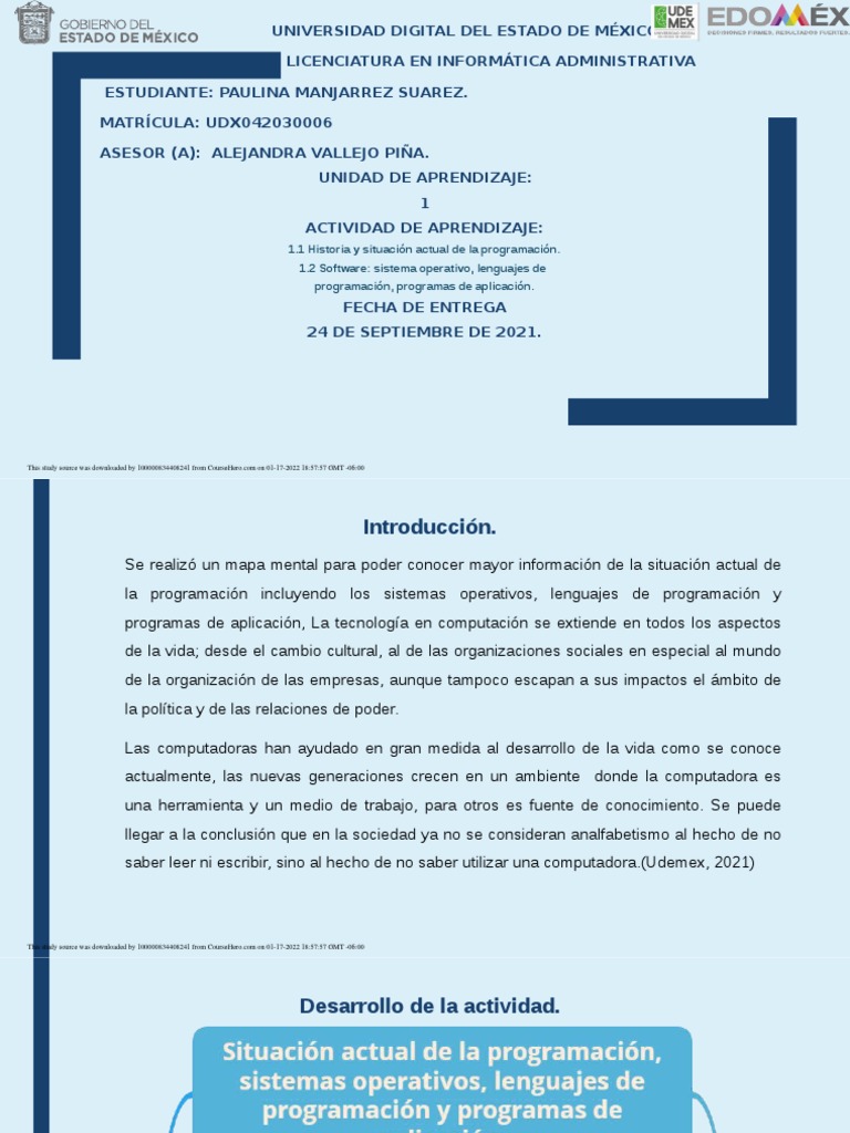 Situación Actual de la Programación | PDF | Software de la aplicacion ...