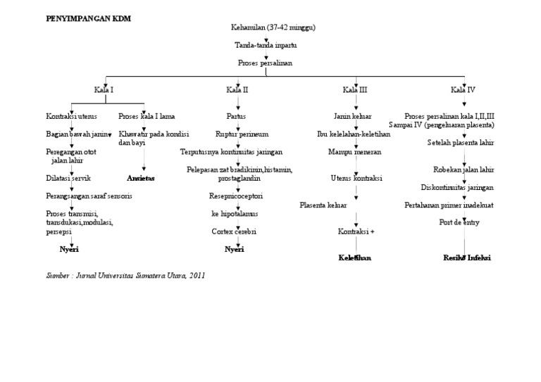 Pathway Persalinan dan Nyeri Melahirkan | PDF