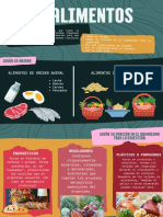 Los principales tipos de alimentos según su origen, función y condiciones