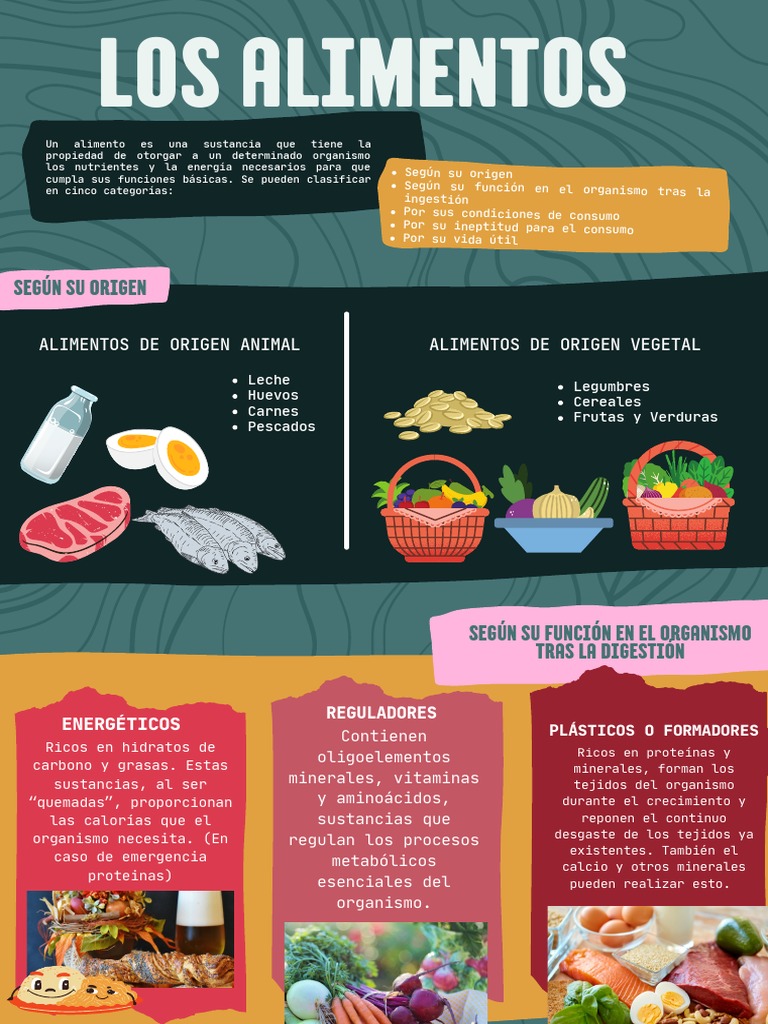 Infografía Alimentos Pdf Alimentos Nutrientes