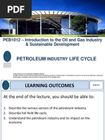 Petroleum Industry Life Cycle