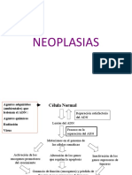 Práctica 13 Neoplasias