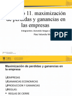 Exposicion Economia Maximizacion